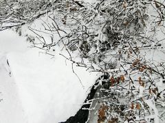 -莫斯科大学