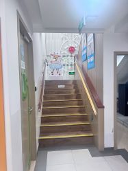 -睿宝儿科·眼科·口腔(杨浦新江湾城店)