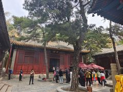 -潭柘寺景区