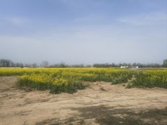 -汉长安城未央宫国家考古遗址公园