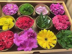 -鱼四季·新融合料理(苏宁广场店)