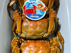 -品鲜村农家菜·阳澄湖大闸蟹(总店)