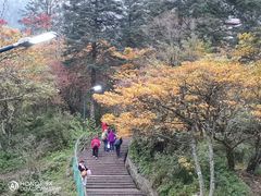 -峨眉山风景名胜区
