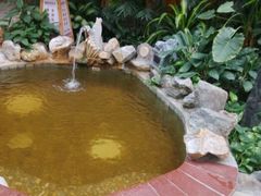 android_upload_pic-金隅凤山酒店