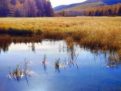 -塞罕坝国家级自然保护区