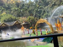 -西双版纳原始森林公园