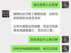 -千城康桥宠物医院·猫科·骨科·心脏