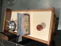 -百年果林椰子鸡(宝安总店)