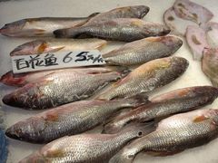 -鑫福隆生鲜超市(沈营大街店)