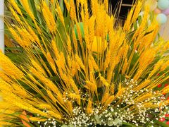 -汴梁徐先生厚切炒酸奶