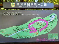 -茅兰沟国家森林公园