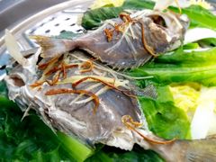泥猛鱼-海大大蒸汽海鲜餐厅·粤菜·特色小炒(欢乐颂店)