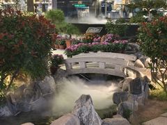 -蘇河湾·新鲁菜·泰山宴(泰山店)