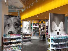 -KKV(深圳宏发大仟里店)