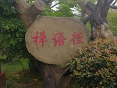 -宜春禅都文化博览园