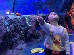 -沈阳海洋探索中心