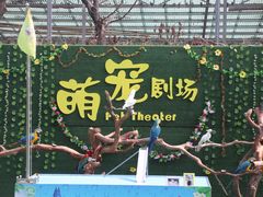 -长廊欢乐园