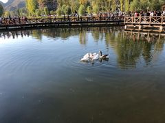 -恋乡太行水镇