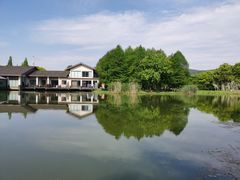 -长广溪湿地公园