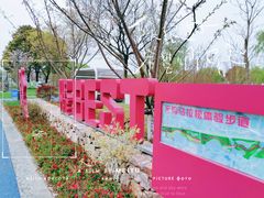 -贡湖湾湿地公园