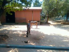 -广东茂名森林公园