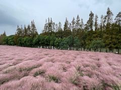 -嘉北郊野公园