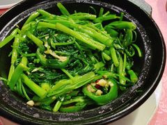 砂锅通菜-民记食店(沙溪店)