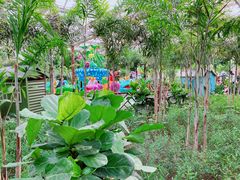 -南宫五洲植物乐园