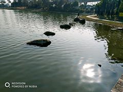 -美兰湖景区