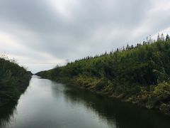 -黄海国家森林公园