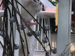 -小时光咖啡馆(北锣鼓巷店)