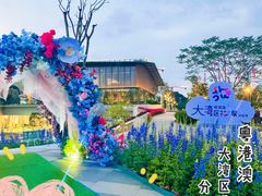 -香蜜公园