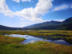 -腾冲北海湿地