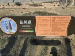 -杭州野生动物世界