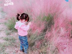 -汉长安城未央宫国家考古遗址公园