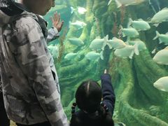 -哈尔滨波塞冬海底世界