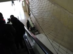 -天津医科大学第二医院