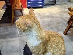 -晋商羊家将(十八中店)