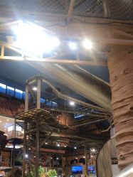 点击看大图 -卡通尼·Safari非洲探索乐园·生日会(金桥国际商业广场店)