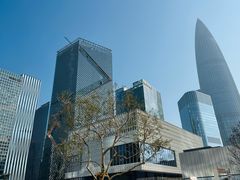 -深圳湾万象城(南山店)