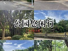 -滴水岩森林公园