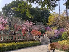 -乌山风景区