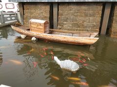 -武汉紫薇都市田园