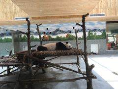 -西安秦岭野生动物园