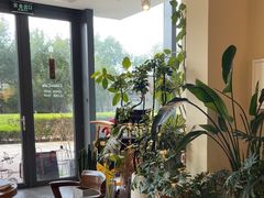 -Dinoo 片场咖啡(酒仙桥店)