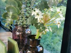 -北马山庄植趣咖啡