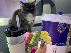 -极木²邸 人与宠物·互动社区