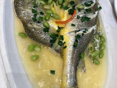 深海大黄鱼-乾隆美食·本帮菜(黄河路店)