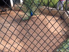 -月亮河温泉度假酒店