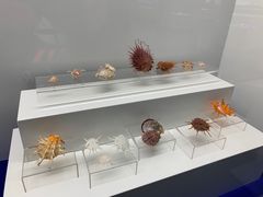-贝壳王国博物馆